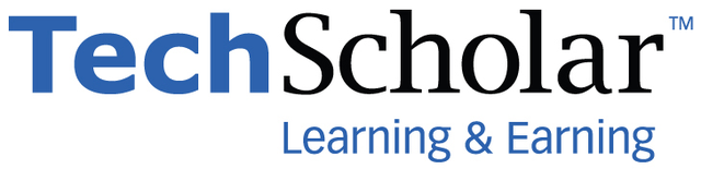 TechScholar™, Learning & Earning
